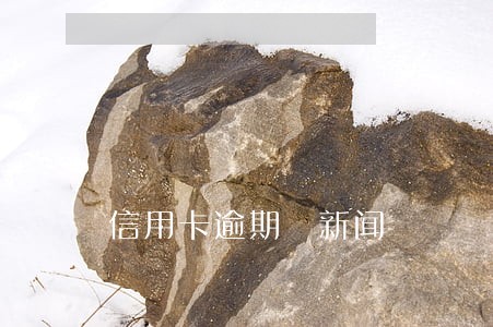 信用卡逾期 新闻 信用卡逾期 新闻